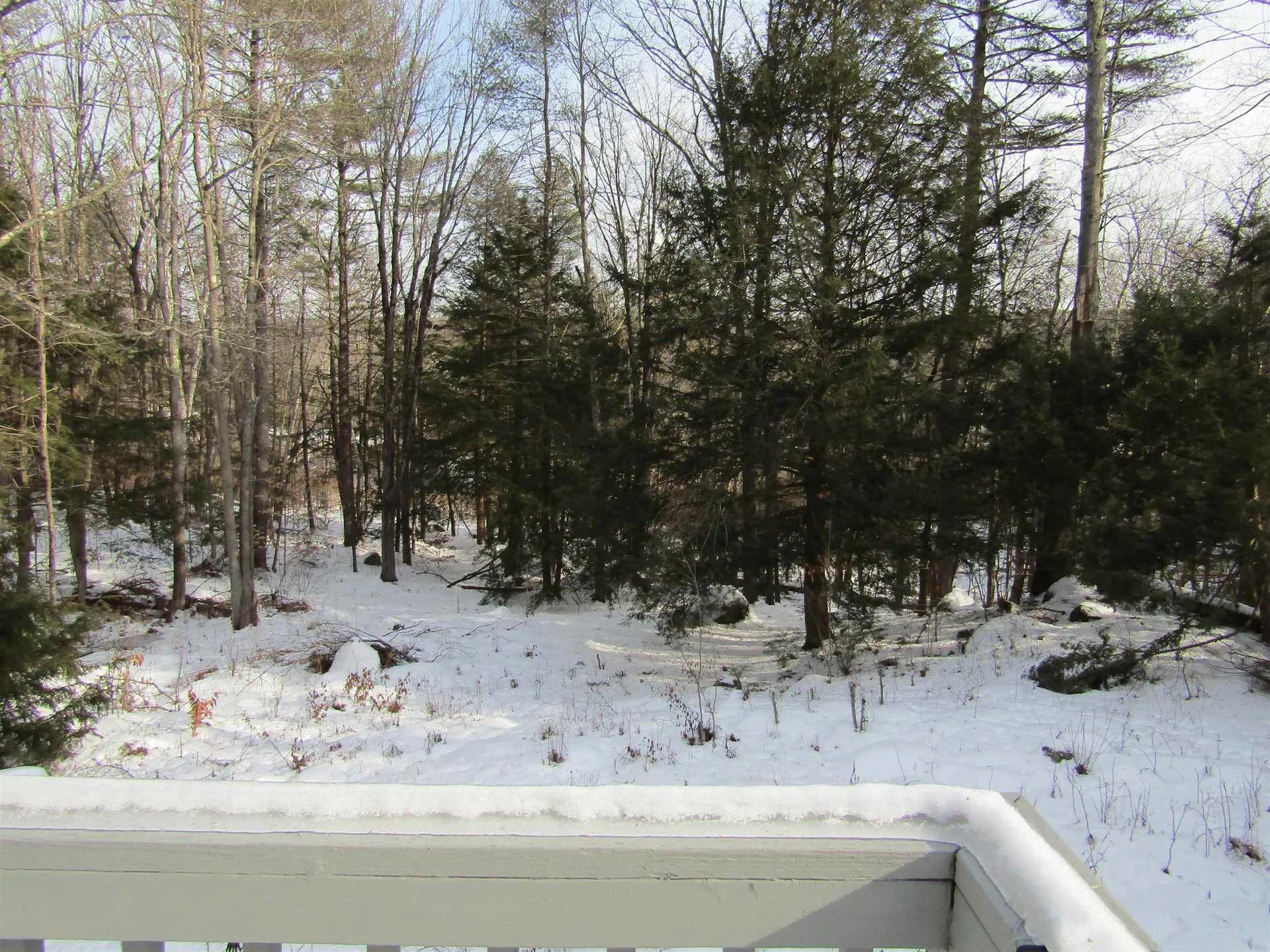 83 Deerhaven Road Weare NH 03281