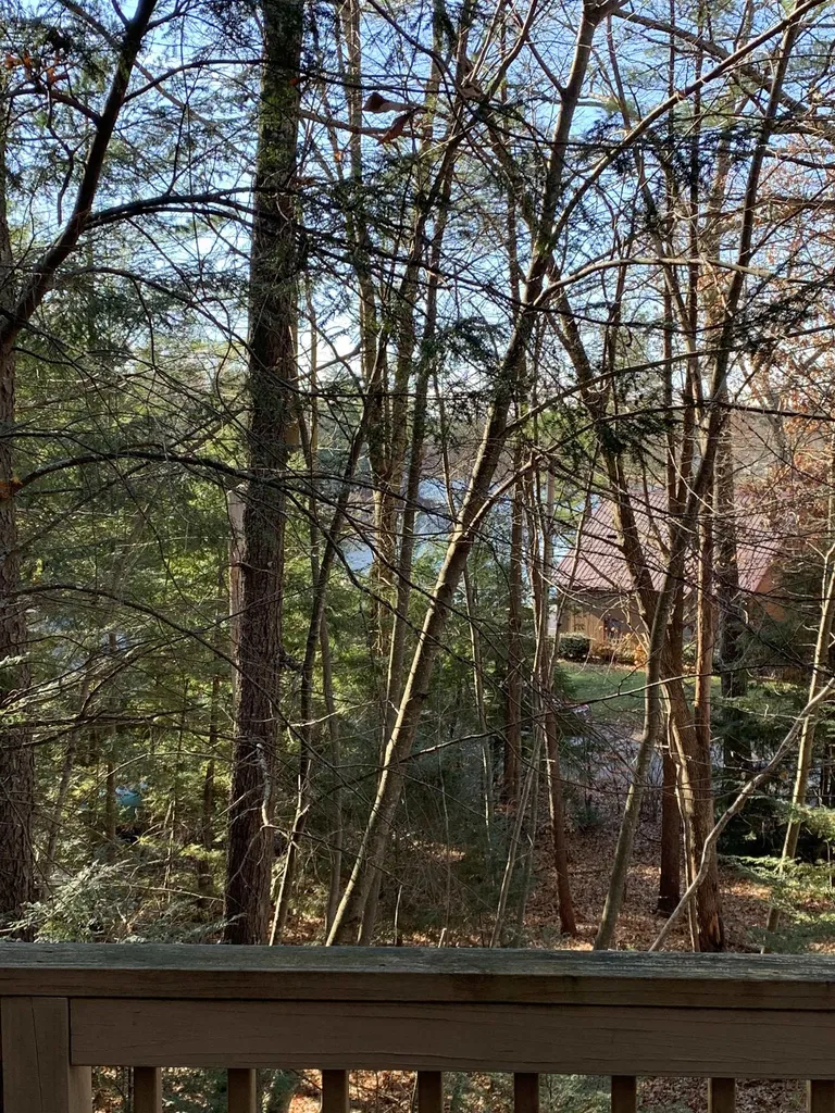 39 Blueberry Circle Hampstead NH 03841