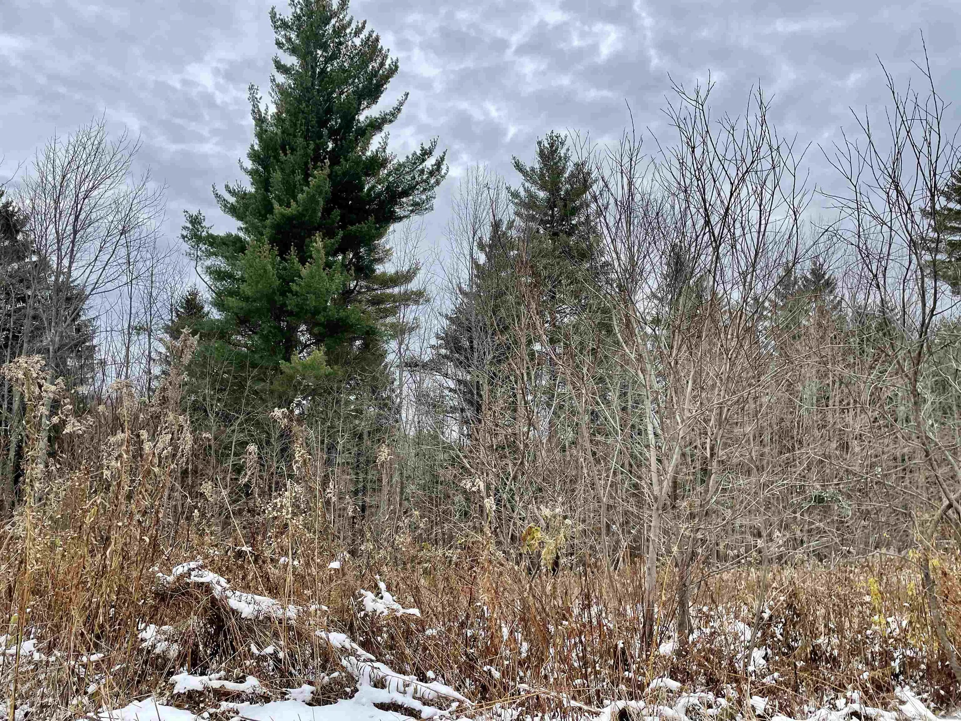 675 Bear Farm Road Northfield VT 05667