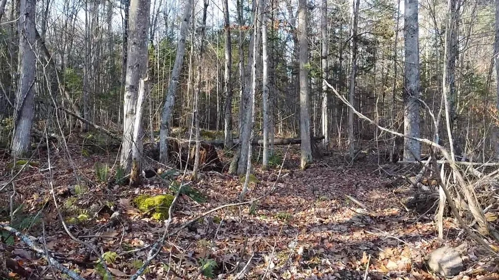 117 Conway Lane Haverhill NH 03785