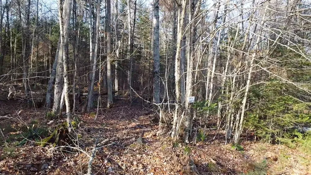 117 Conway Lane Haverhill NH 03785