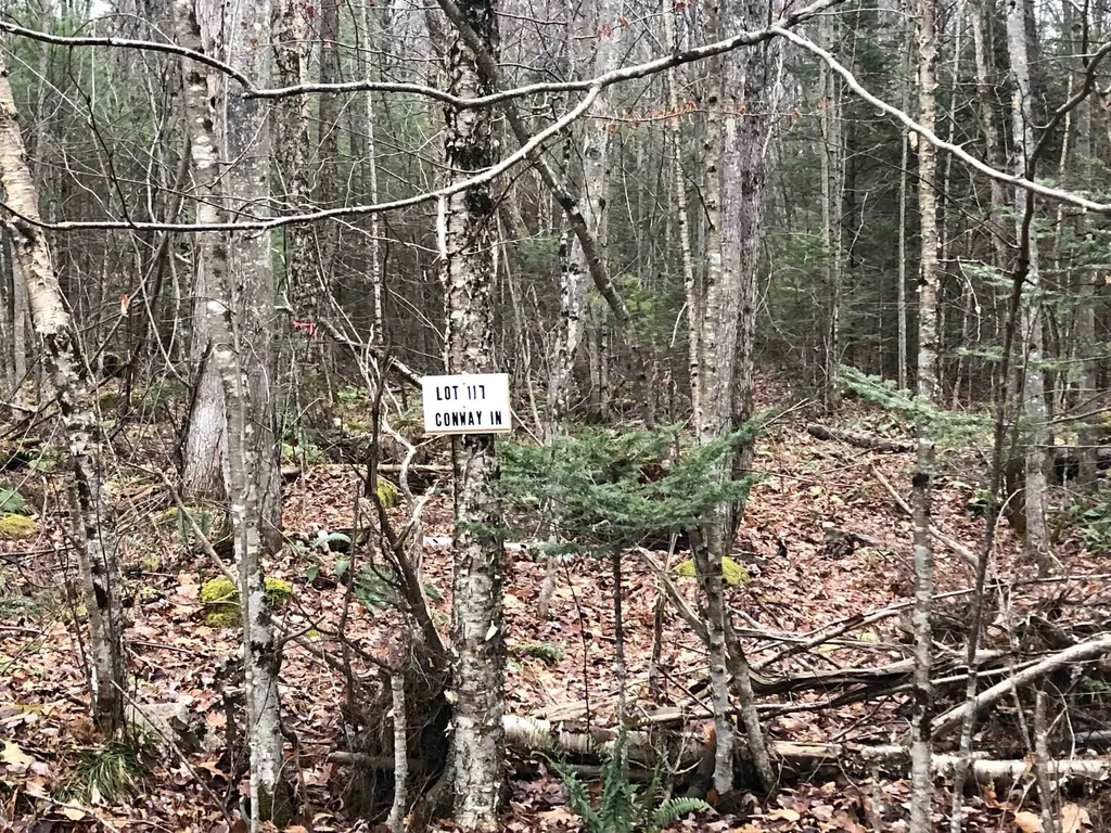 117 Conway Lane Haverhill NH 03785