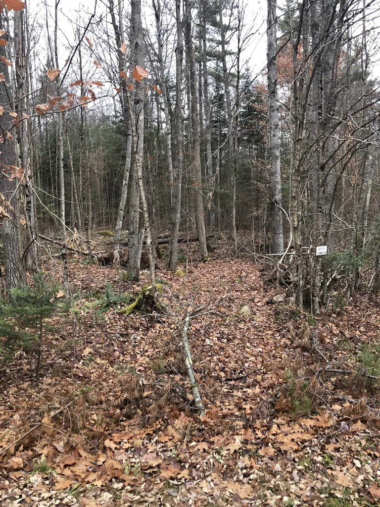 117 Conway Lane Haverhill NH 03785