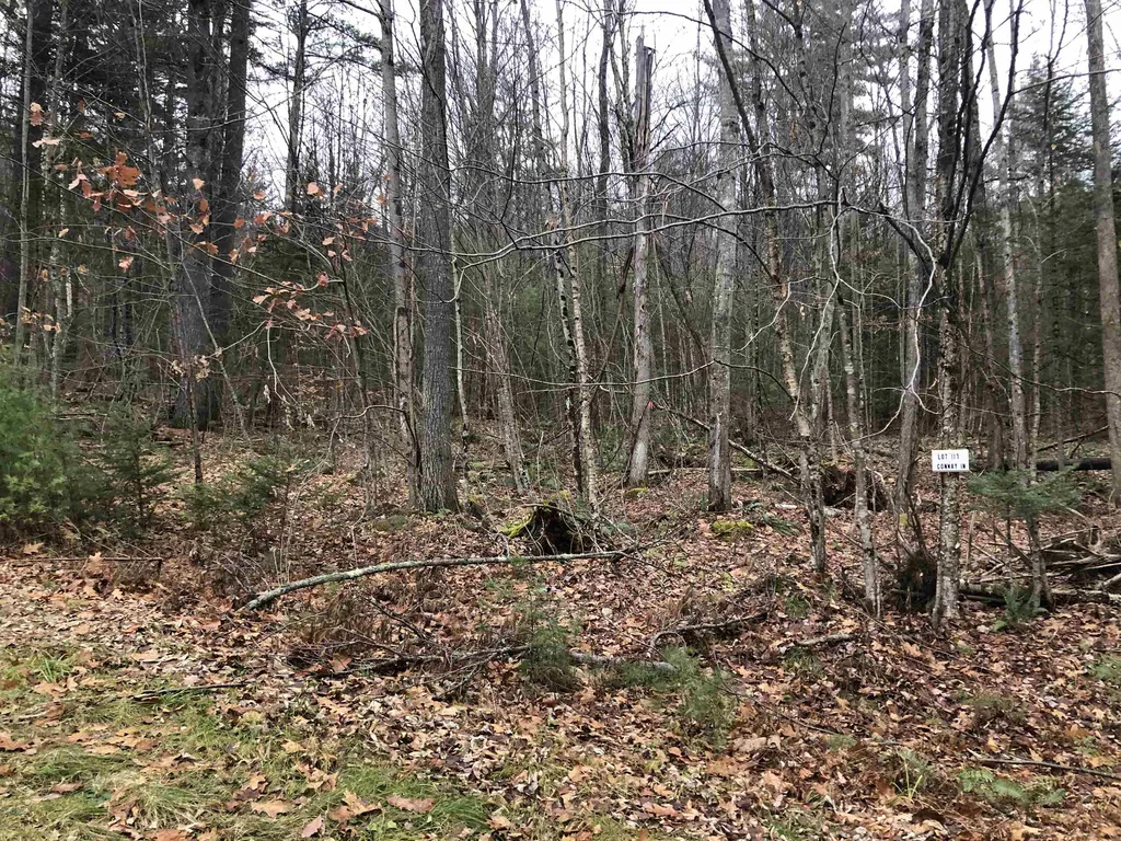 117 Conway Lane Haverhill NH 03785
