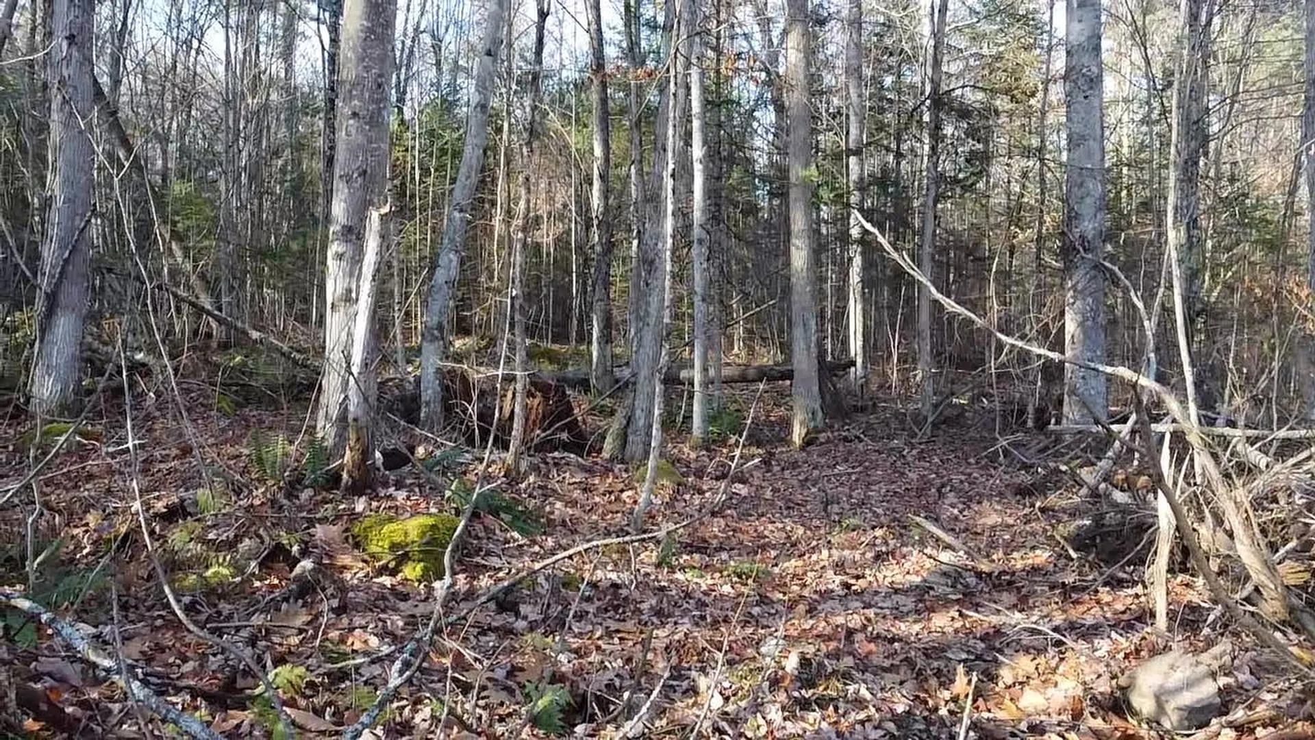 117 Conway Lane Haverhill NH 03785