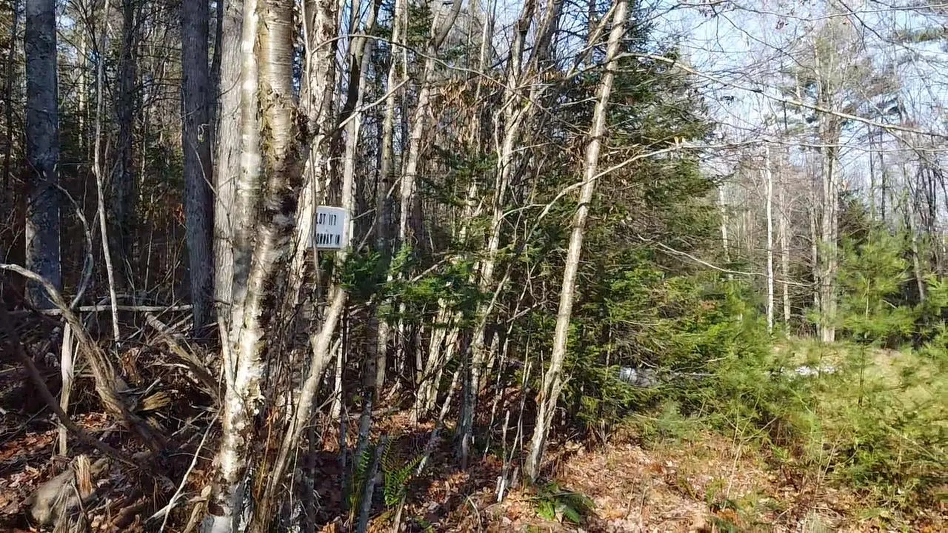 117 Conway Lane Haverhill NH 03785