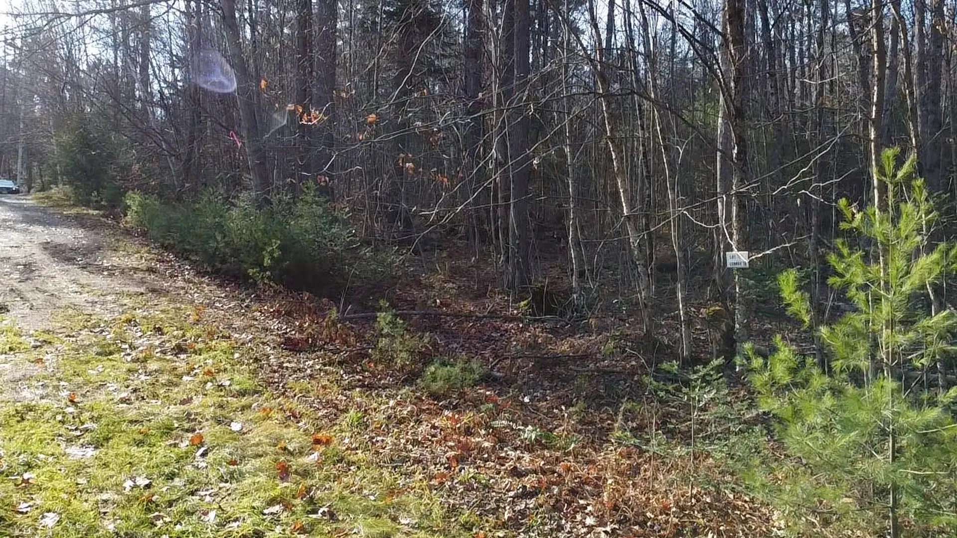117 Conway Lane Haverhill NH 03785