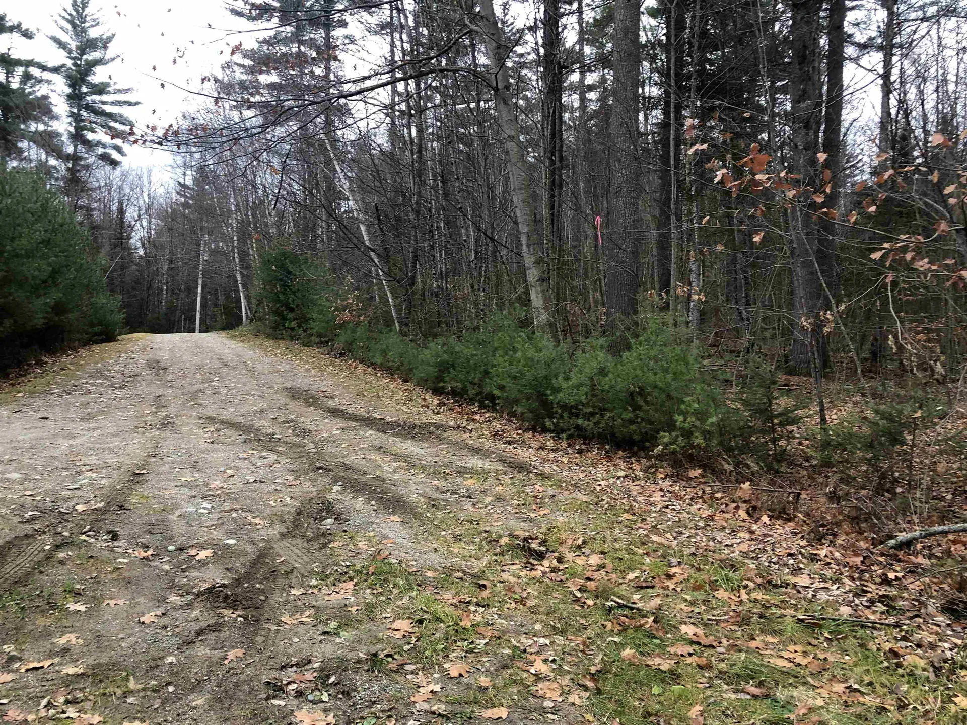 117 Conway Lane Haverhill NH 03785
