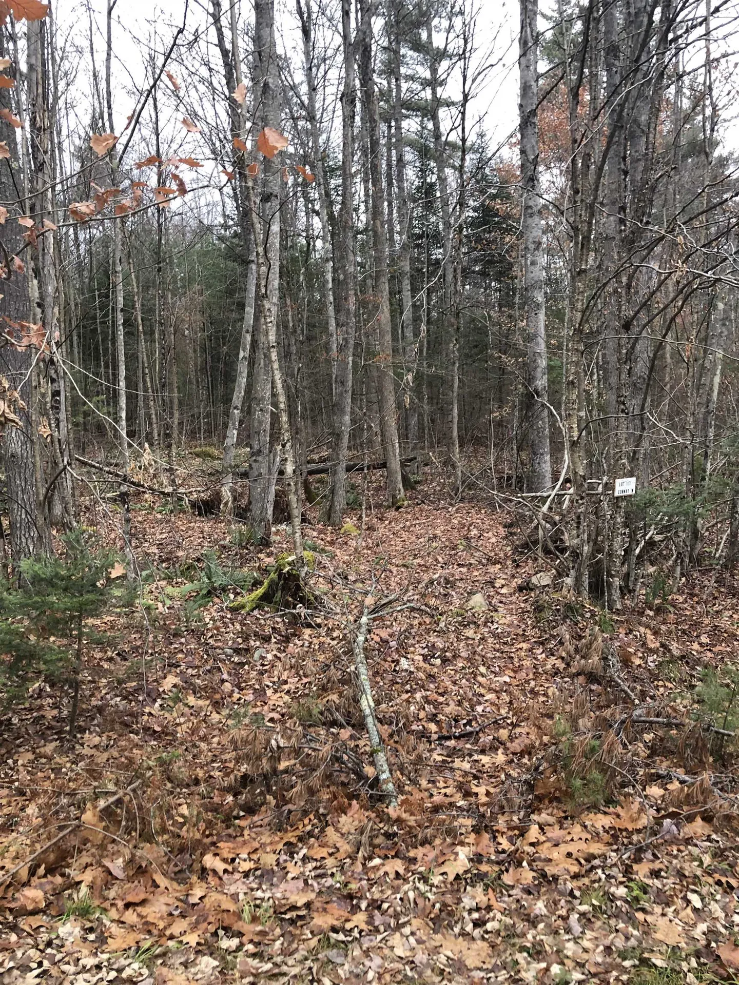117 Conway Lane Haverhill NH 03785