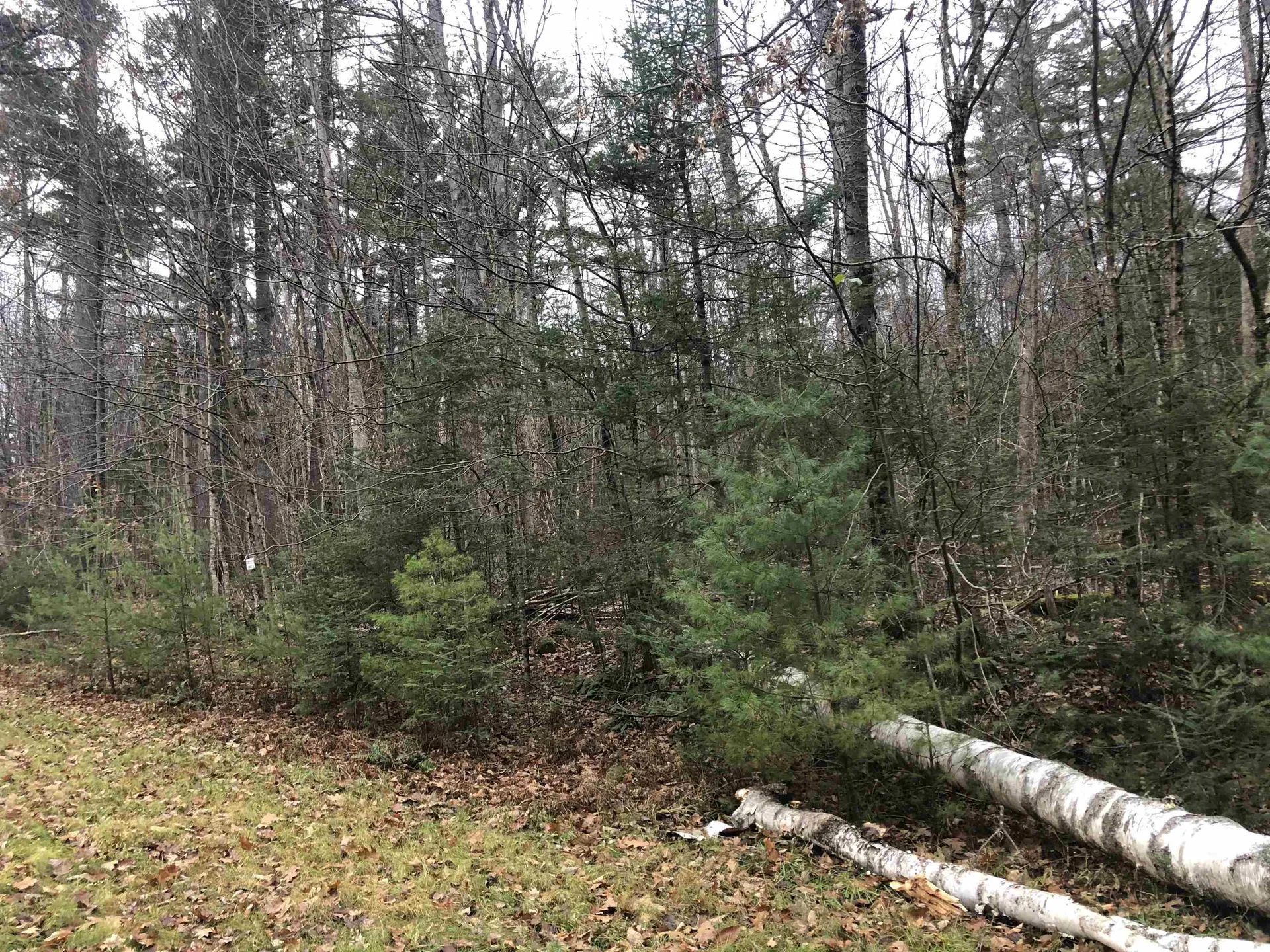 117 Conway Lane Haverhill NH 03785