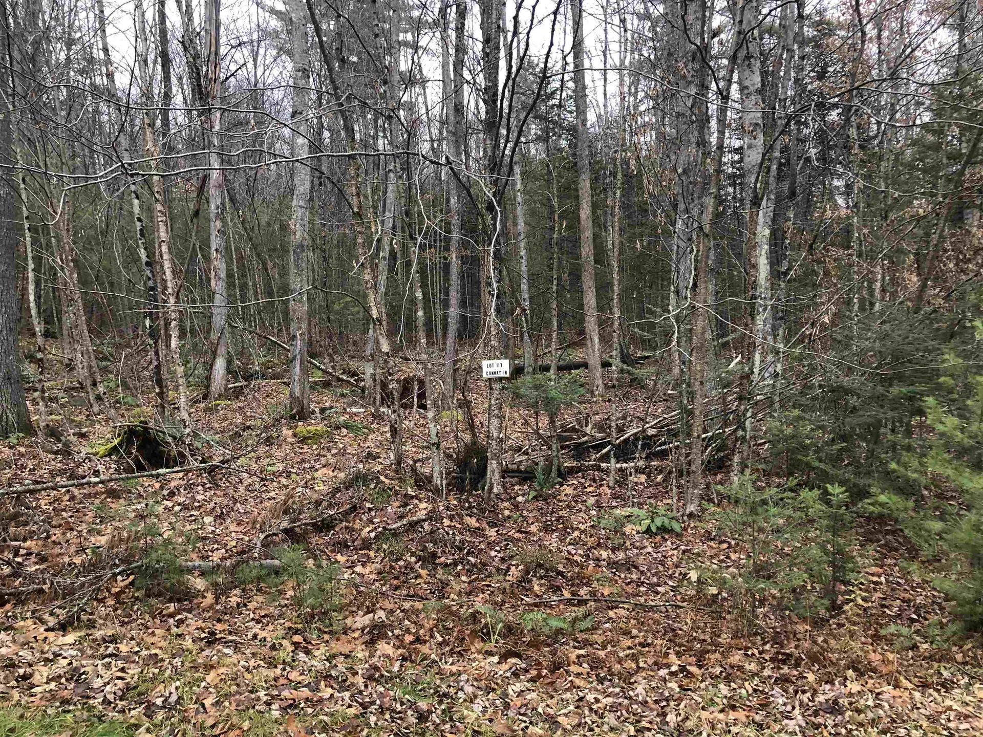 117 Conway Lane Haverhill NH 03785