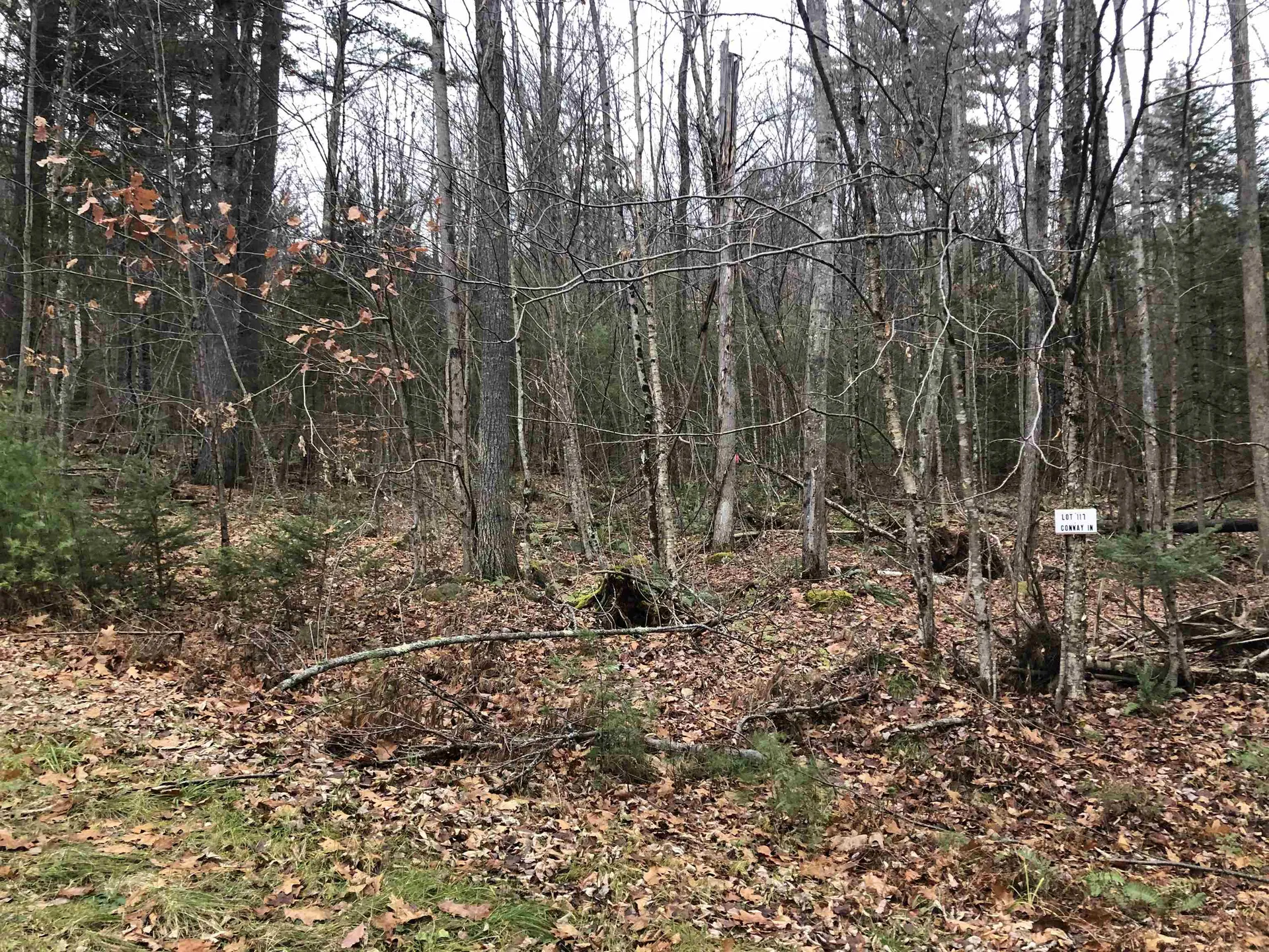 117 Conway Lane Haverhill NH 03785