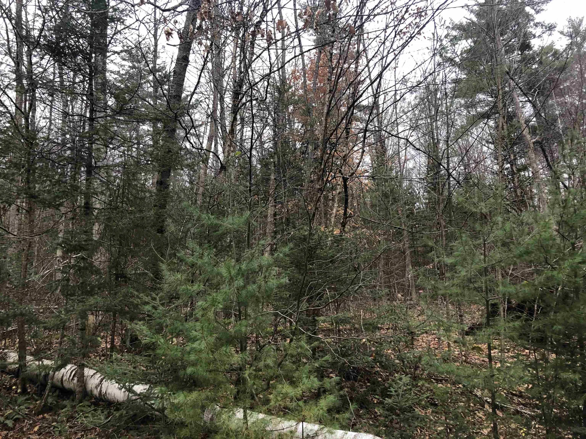 117 Conway Lane Haverhill NH 03785