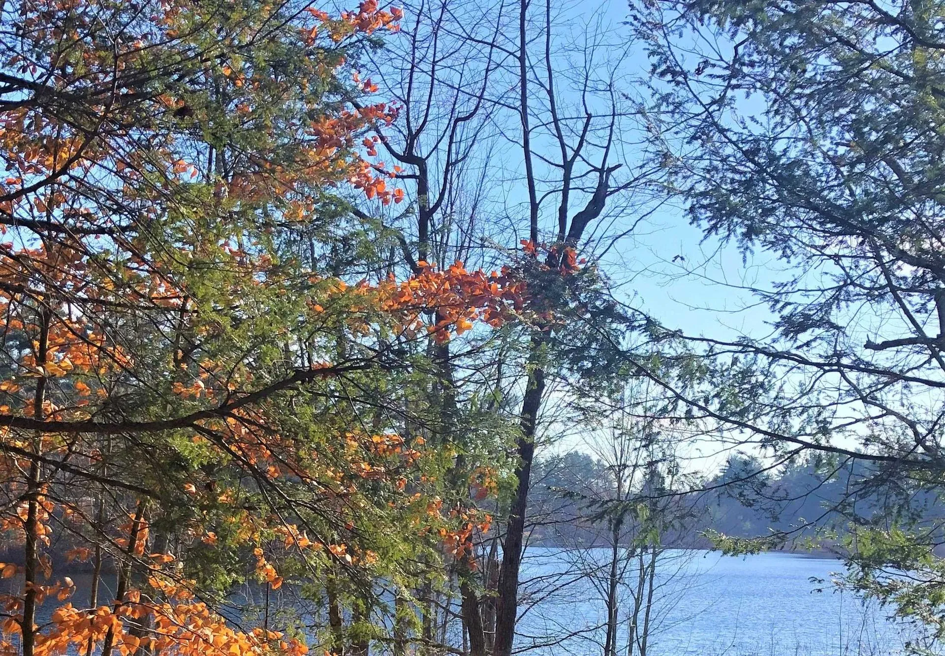7 Phoenix Drive Kingston NH 03848