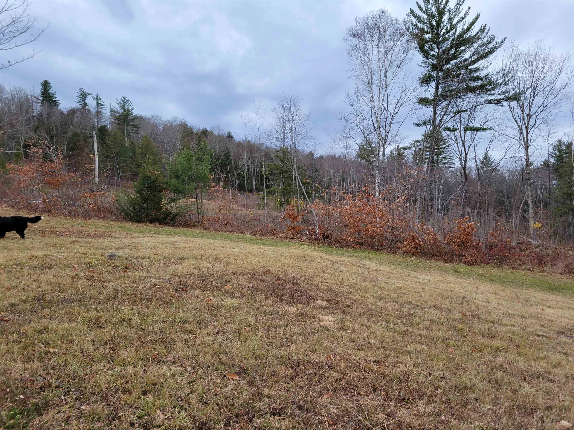 58 Spokefield Road Campton NH 03223