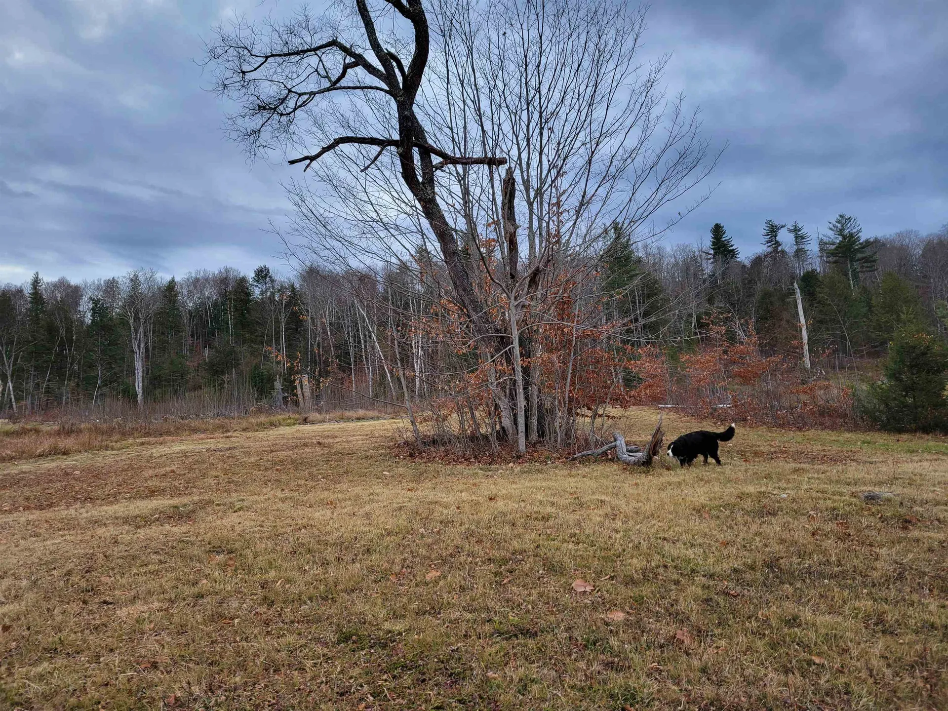 58 Spokefield Road Campton NH 03223