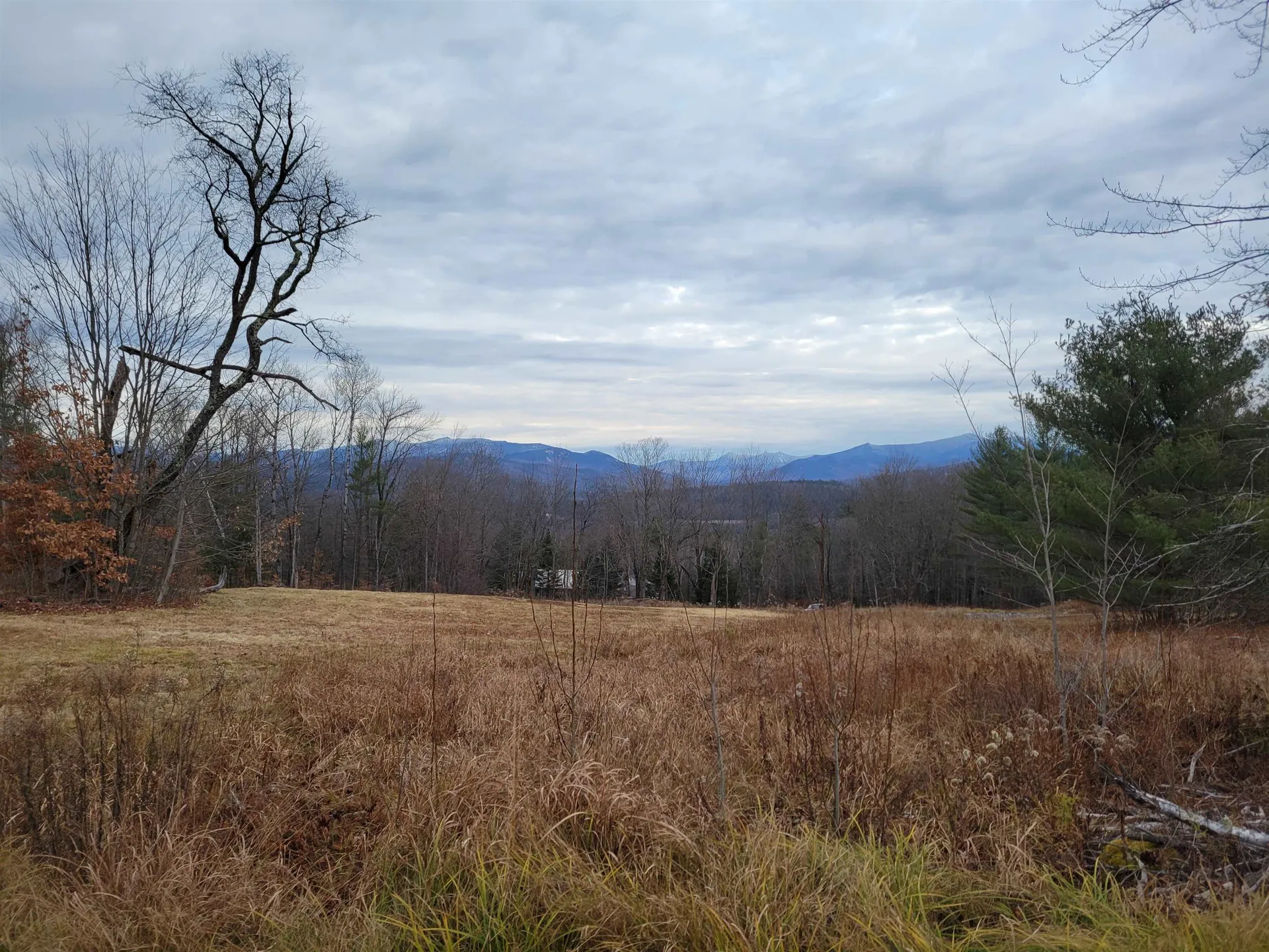 58 Spokefield Road Campton NH 03223