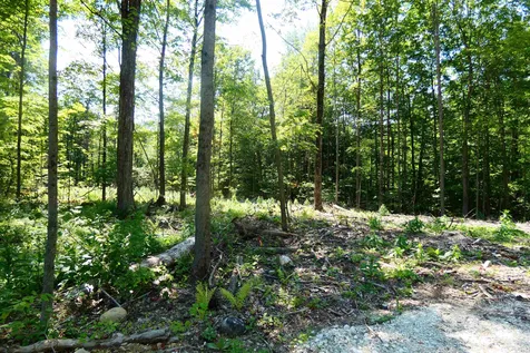 Tbd Lower Plains Road Salisbury VT 05769