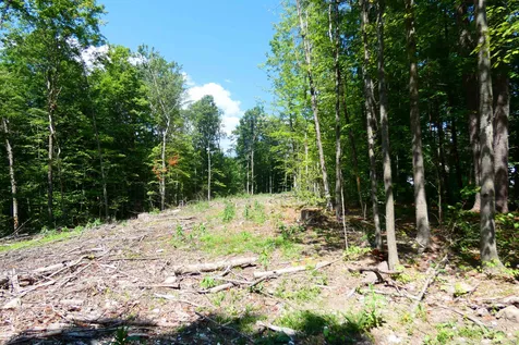 Tbd Lower Plains Road Salisbury VT 05769