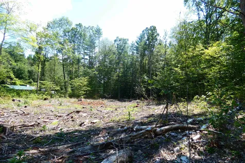 Tbd Lower Plains Road Salisbury VT 05769