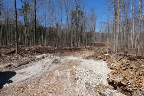 Tbd Lower Plains Road Salisbury VT 05769