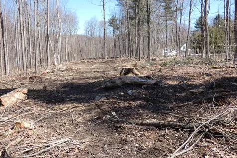 Tbd Lower Plains Road Salisbury VT 05769