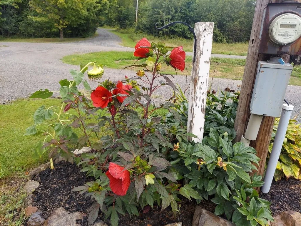 1131 Barry Road Fairfield VT 05455