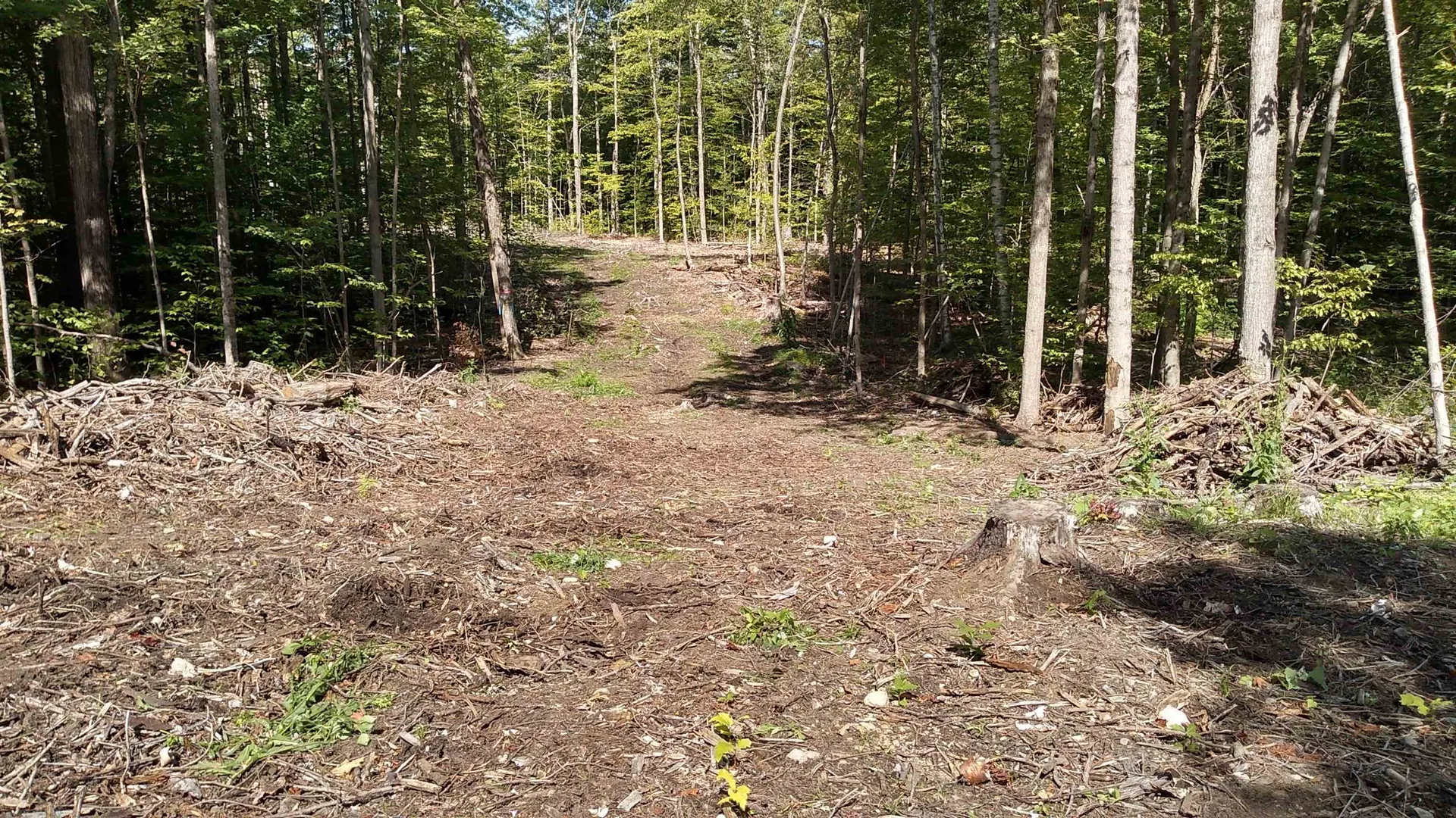 Tbd Lower Plains Road Salisbury VT 05769