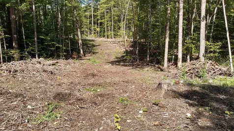 Tbd Lower Plains Road Salisbury VT 05769