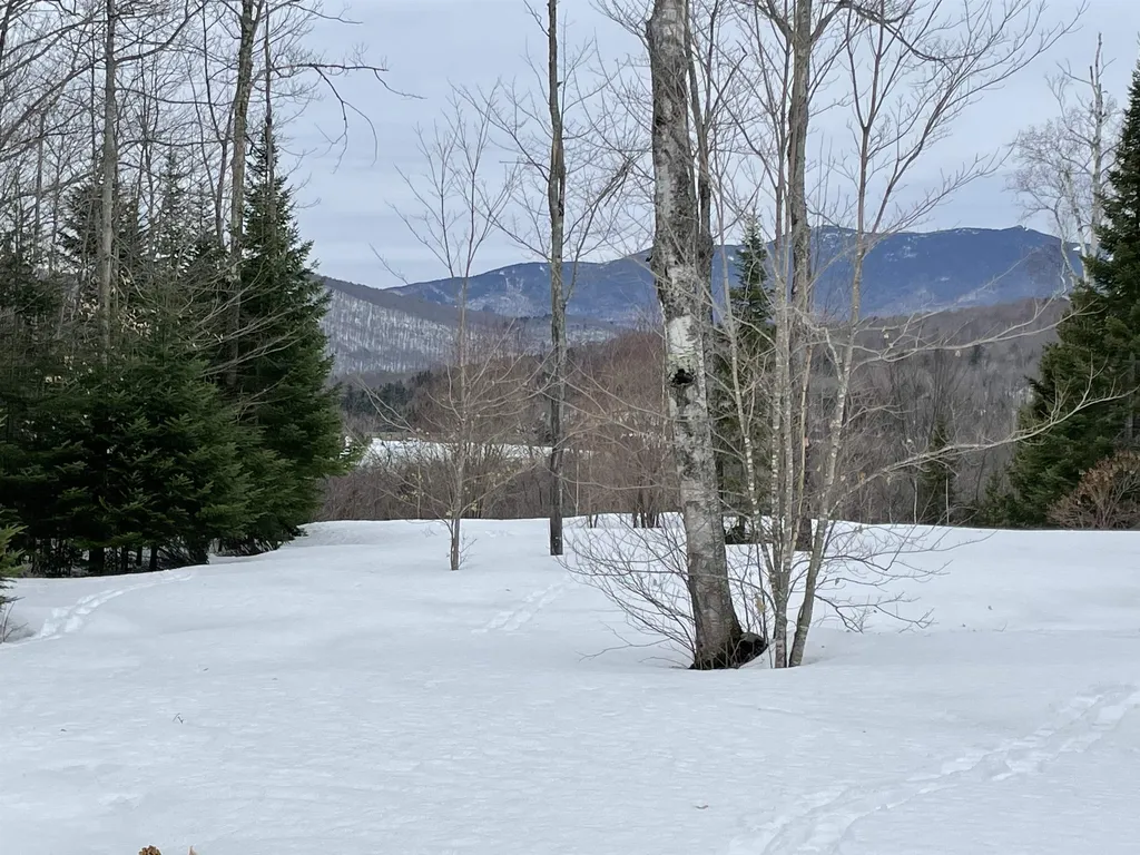 48 Alberts Lane Warren VT 05467