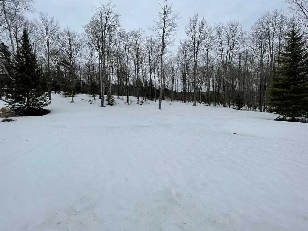 48 Alberts Lane Warren VT 05467