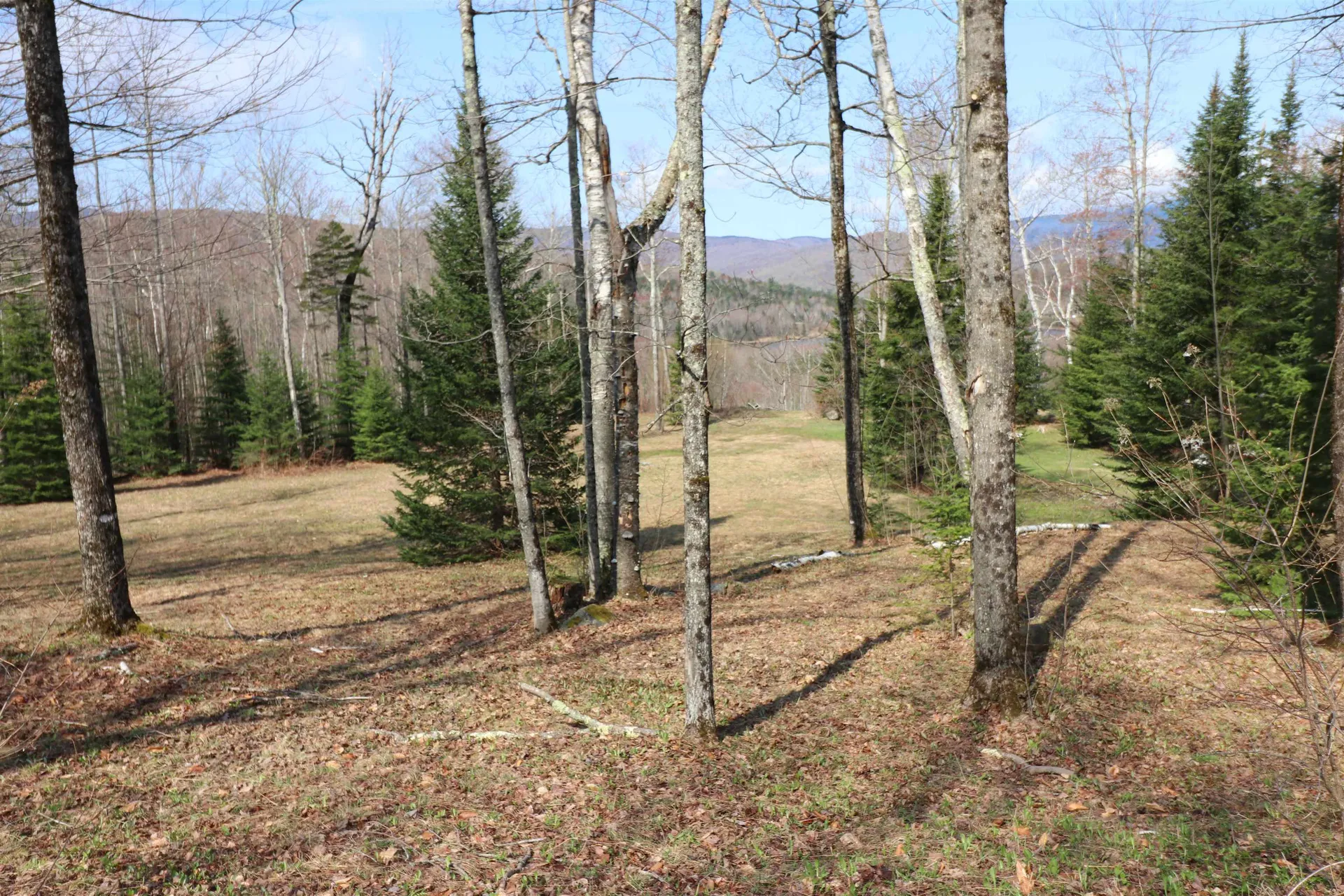 48 Alberts Lane Warren VT 05467