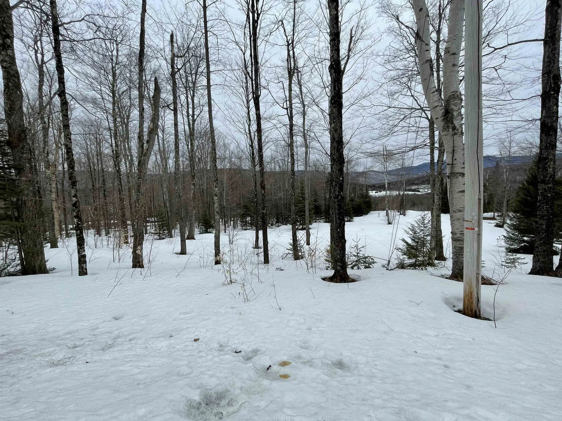 48 Alberts Lane Warren VT 05467
