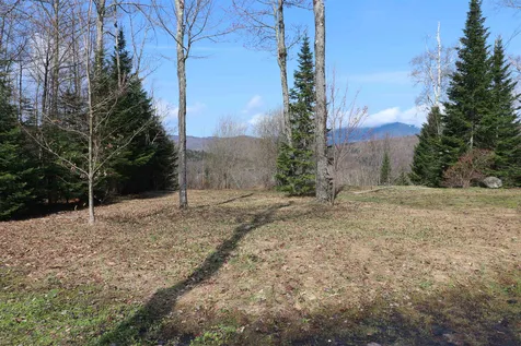 48 Alberts Lane Warren VT 05467