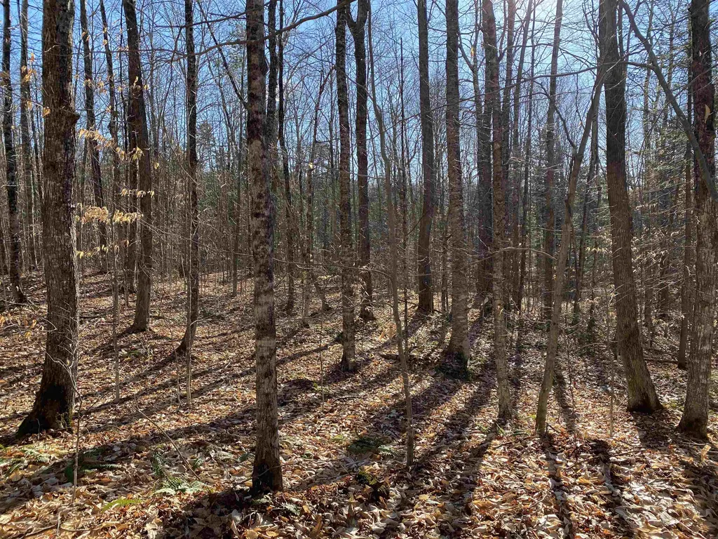 233 Taylor Valley Road Strafford VT 05072