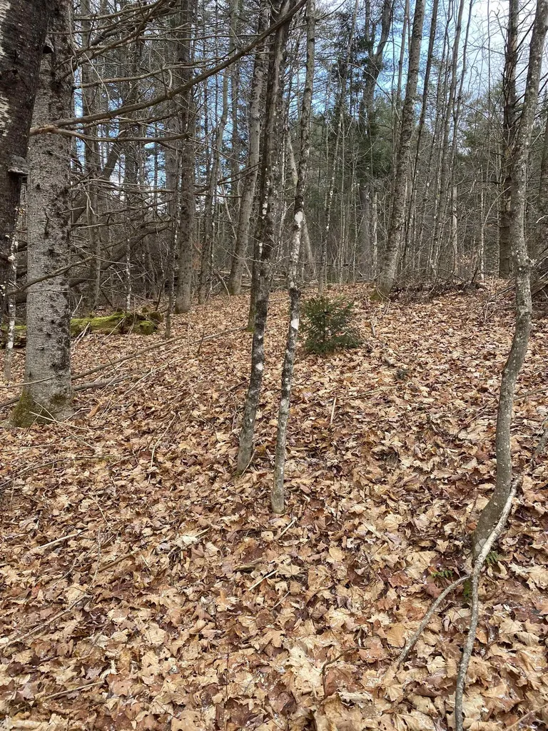 233 Taylor Valley Road Strafford VT 05072