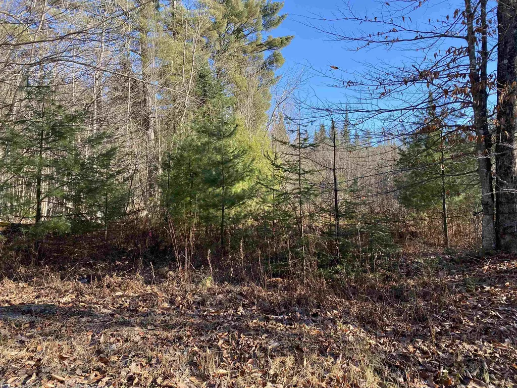 233 Taylor Valley Road Strafford VT 05072