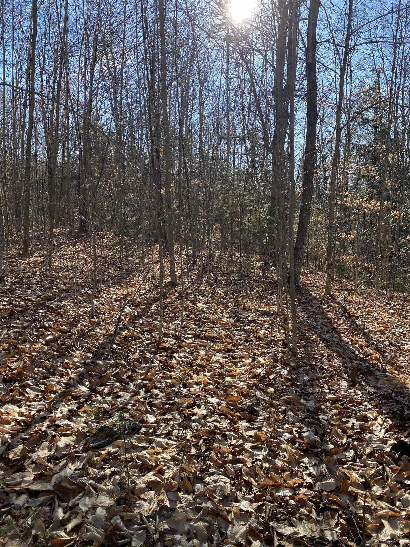 233 Taylor Valley Road Strafford VT 05072