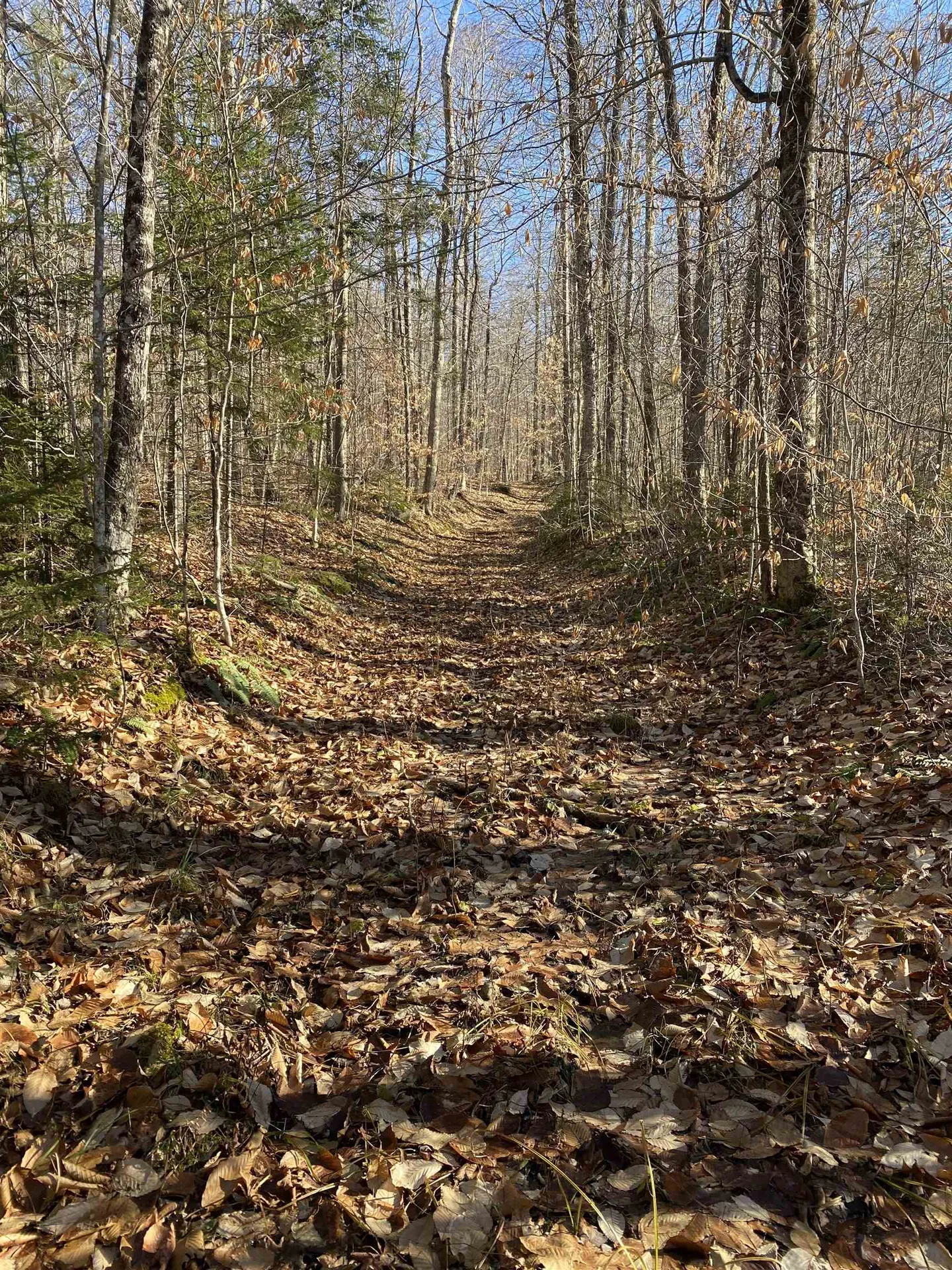 233 Taylor Valley Road Strafford VT 05072