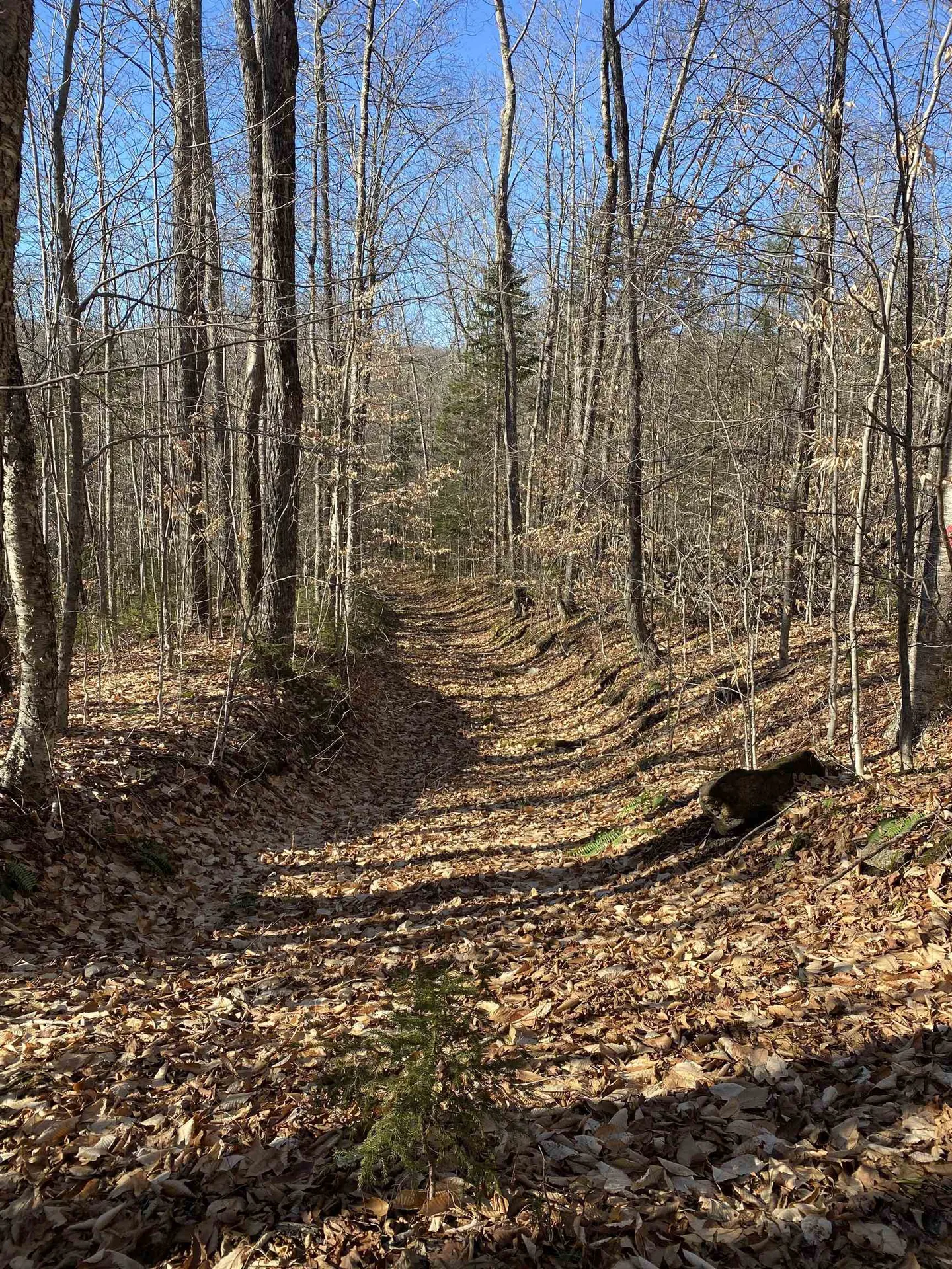 233 Taylor Valley Road Strafford VT 05072