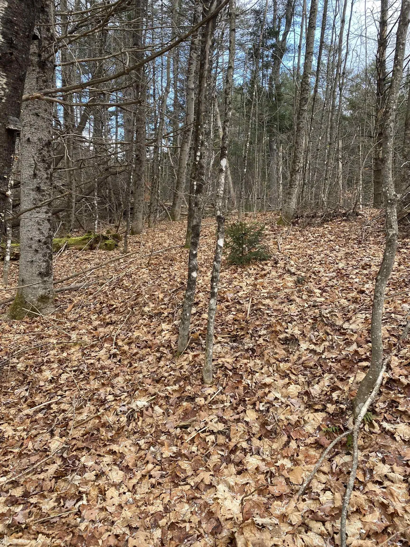 233 Taylor Valley Road Strafford VT 05072