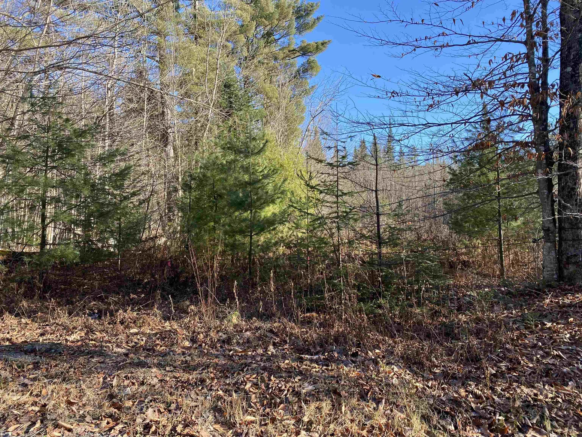 233 Taylor Valley Road Strafford VT 05072