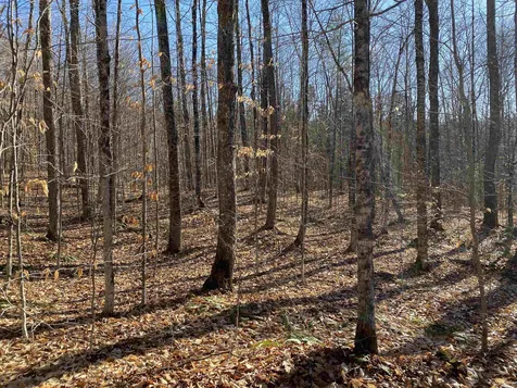 233 Taylor Valley Road Strafford VT 05072