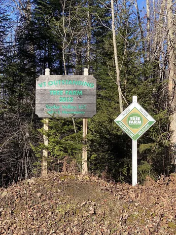 233 Taylor Valley Road Strafford VT 05072