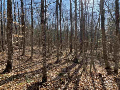 233 Taylor Valley Road Strafford VT 05072