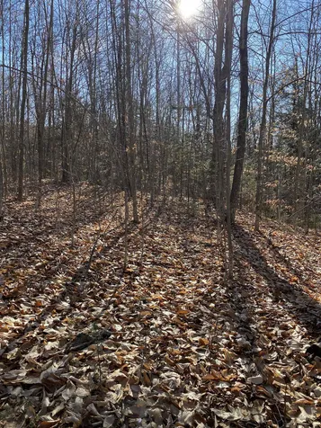 233 Taylor Valley Road Strafford VT 05072