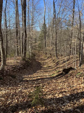 233 Taylor Valley Road Strafford VT 05072