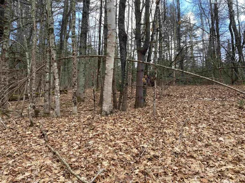 233 Taylor Valley Road Strafford VT 05072