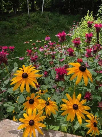 99 Johnson Loop Ludlow VT 05149