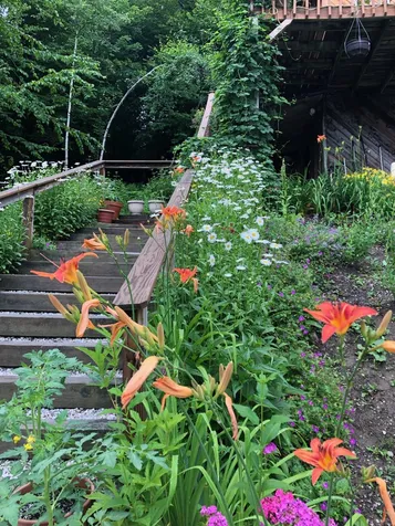 99 Johnson Loop Ludlow VT 05149